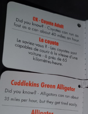 A text about coyotes and gators being fast 40 and 35 miles per hour but gators get tired fast